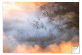 Wandsticker Wald im Morgennebel