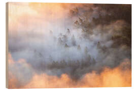 Holzbild Wald im Morgennebel