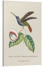 Tableau en aluminium Vintage Hummingbird - Andrea Haase