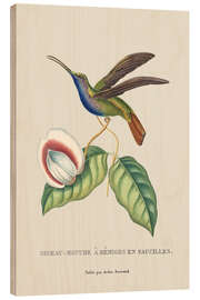 Holzbild Vintage Kolibri - Andrea Haase