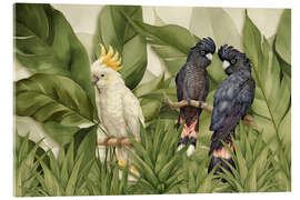 Acrylglasbild Kakadu-Dschungel