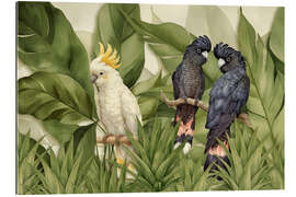 Gallery Print Kakadu-Dschungel