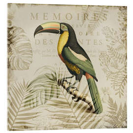 Acrylglasbild Tukans Tropenparadies - Andrea Haase