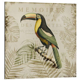 Alubild Tukans Tropenparadies - Andrea Haase