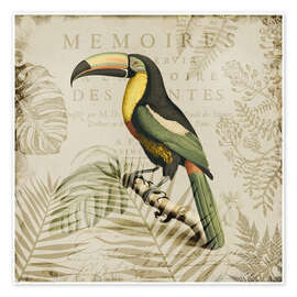 Wandbild Tukans Tropenparadies - Andrea Haase