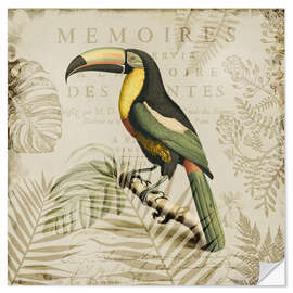 Wandsticker Tukans Tropenparadies