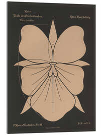 Tableau en verre acrylique Pansy (Vióla tricolor), 1892 - Ferdinand Moser