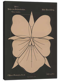 Leinwandbild Stiefmütterchen (Vióla tricolor), 1892 - Ferdinand Moser