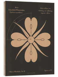 Holzbild Weidenröschen (Chamerion angustifolium), 1892 - Ferdinand Moser