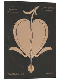 Tableau en verre acrylique Bleeding Heart (Diclytra spectábilis), 1892 - Ferdinand Moser