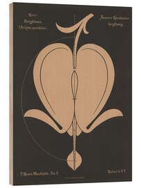 Holzbild Tränendes Herz (Diclytra spectábilis), 1892 - Ferdinand Moser