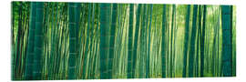 Acrylglasbild Bambuswald, Sagano, Kyoto, Japan