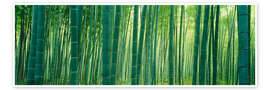 Wandbild Bambuswald, Sagano, Kyoto, Japan