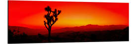 Alubild Sonnenuntergang, Joshua Tree National Park, Kalifornien, USA