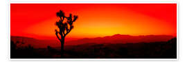 Wandbild Sonnenuntergang, Joshua Tree National Park, Kalifornien, USA