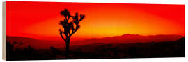 Holzbild Sonnenuntergang, Joshua Tree National Park, Kalifornien, USA