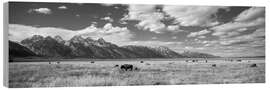 Holzbild Büffel im Grand-Teton-Nationalpark, Wyoming, USA