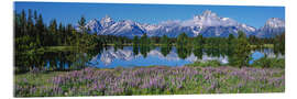 Acrylglasbild Grand Teton National Park, Wyoming, USA