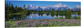 Alubild Grand Teton National Park, Wyoming, USA