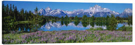 Leinwandbild Grand Teton National Park, Wyoming, USA
