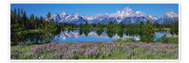 Poster Grand Teton National Park, Wyoming, USA