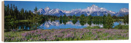 Holzbild Grand Teton National Park, Wyoming, USA