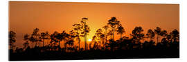 Acrylglasbild Sonnenuntergang, Everglades National Park, Florida
