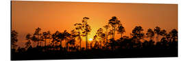 Alubild Sonnenuntergang, Everglades National Park, Florida