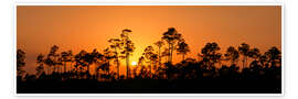 Wandbild Sonnenuntergang, Everglades National Park, Florida