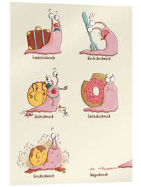 Acrylglasbild Alle Arten von Schnecken - Sandy Thißen