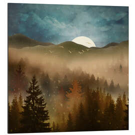 Alubild Winterlicher Waldnebel - SpaceFrog Designs