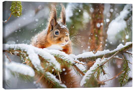 Leinwandbild Eichhörnchen im Winter