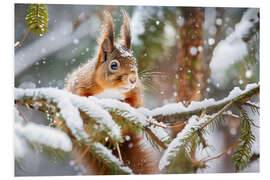 Hartschaumbild Eichhörnchen im Winter