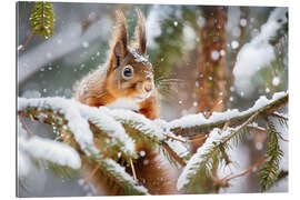 Gallery Print Eichhörnchen im Winter