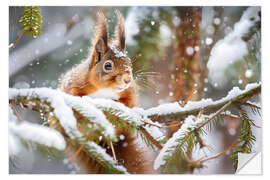 Wandsticker Eichhörnchen im Winter