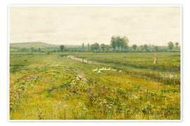 Poster Wiesenlandschaft mit Gänsen an einem Bach, 1892