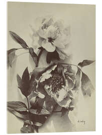 Acrylglasbild Blumenstillleben mit Pfingstrosen I - Charles Hippolyte Aubry