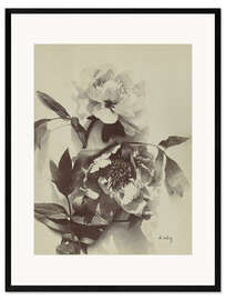 Gerahmter Kunstdruck Blumenstillleben mit Pfingstrosen I - Charles Hippolyte Aubry