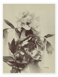 Wandbild Blumenstillleben mit Pfingstrosen I - Charles Hippolyte Aubry