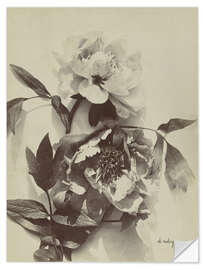 Wandsticker Blumenstillleben mit Pfingstrosen I - Charles Hippolyte Aubry