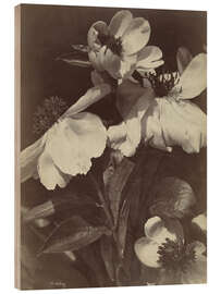 Holzbild Blumenstillleben mit Pfingstrosen II - Charles Hippolyte Aubry