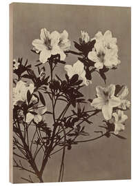Holzbild Blumenstillleben mit Azalee - Charles Hippolyte Aubry