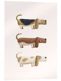 Acrylglasbild Drei Bassets - Marta Munte