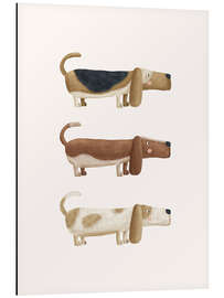 Alubild Drei Bassets - Marta Munte