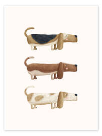 Wandbild Drei Bassets - Marta Munte