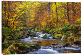 Leinwandbild Fluss im bunten Herbstwald - Moqui, Daniela Beyer