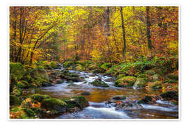 Wandbild Fluss im bunten Herbstwald - Moqui, Daniela Beyer