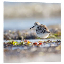 Acrylglasbild Im Gleichgewicht