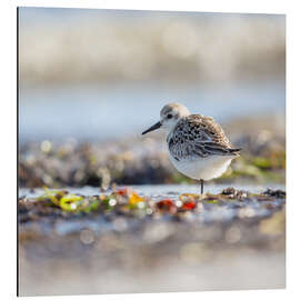 Alubild Im Gleichgewicht