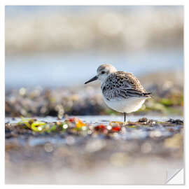 Wandsticker Im Gleichgewicht